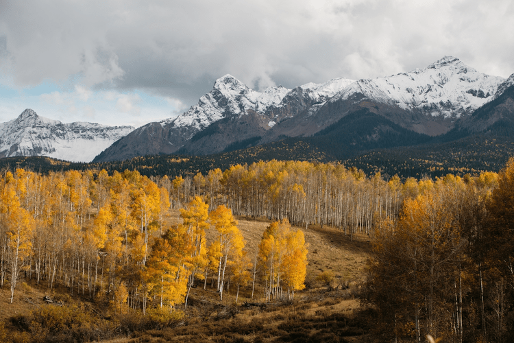 mountains with changing leaves on trees
